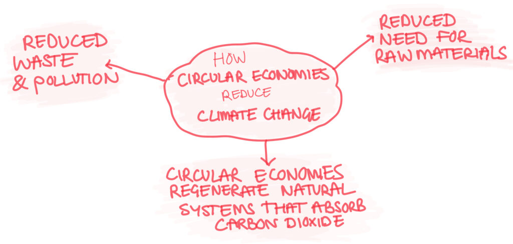 diagram of 3 ways the circular economy reduced climate change